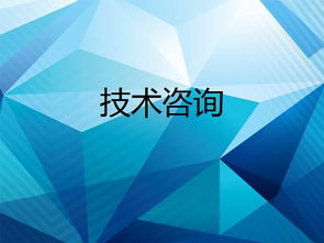 技術(shù)咨詢(xún) 數(shù)字化轉(zhuǎn)型的關(guān)鍵助力